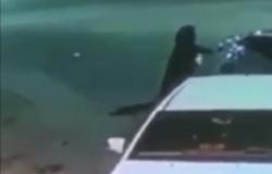 "شرطة الجوف" تقبض على أربعيني خطف حقيبة امرأة ولاذ بالفرار