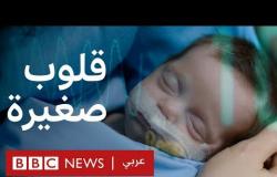 قلوب صغيرة: جنة استشفائية في بيروت للأطفال المرضى