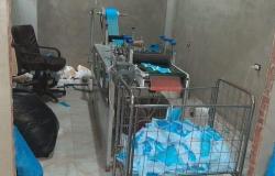 ضبط مصنع غير مرخص لتصنيع الكمامات بالإسكندرية- (صور)