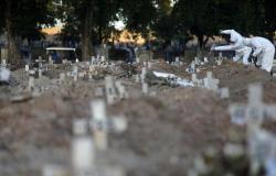 البرازيل: 8456 إصابة جديدة بكورونا و365 وفاة