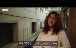 أنا الشاهد: فتاة مصرية خصصت ملجأً في دمياط لقطط وكلاب الشوارع المريضة