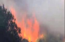 بالفيديو : حرائق جديدة في لبنان تلتهم مساحات خضراء وسط اتهام السلطات بالعجز