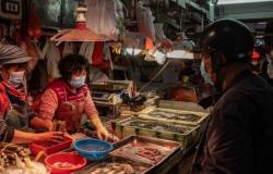 "سمك مجمد".. الصين تكشف مصدر تفشي كورونا في مدينة تشينغداو
