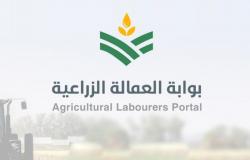 "البيئة" تطلق بوابة إلكترونية لاستقبال طلبات العمالة الزراعية