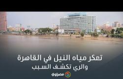 تعكر مياه النيل في القاهرة.. والري تكشف السبب
