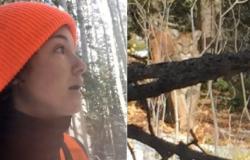 فيديو موت .. كيف قتلت امرأة أسدًا جبليًا في مواجهة مرعبة؟