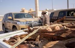 "الأمن البيئي" تضبط 16 طنًّا من الحطب المحلي المعدّ للبيع في الرياض