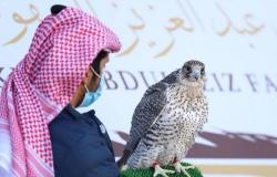 "مهرجان الملك عبدالعزيز للصقور" يسدل الستار على أشواط ملواح الدوليين