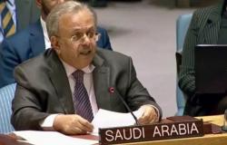 المعلمي: السعودية لا تحتاج للإذن للدفاع عن مصالحها.. ونتعامل مع الحوثي كمنظمة إرهابية