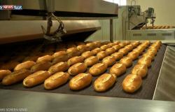 مصر تحظر مادة خطيرة تستخدم في صناعة الخبز