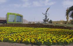 "أمانة حائل" تزرع مليون زهرة بالميادين.. وأمينها: نؤمن بأهمية الرقعة الخضراء