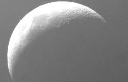 شاهد.. في ظاهرة ممتعة ودقيقة.. "مرصد أبوظبي" يرصد احتجاب المريخ خلف القمر