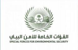 تخريج 814 من أفراد القوات الخاصة للأمن البيئي من معهدي التدريب بالرياض والشرقية