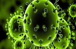 «رويترز»: وفيات فيروس كورونا في العالم تتجاوز 4 ملايين