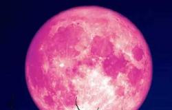 « قمر الفراولة » يضيء سماء ليلة الخميس بلون ذهبي مذهل
