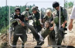 إسرائيل تبدأ بطرد الفلسطينيين من حي سلوان بالقدس.. هدمت شقة واعتقلت 4