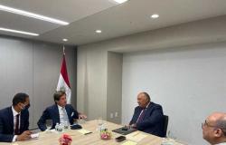 وزير الخارجية يلتقي رئيس مجلس الأمن لشرح موقف مصر تجاه سد النهضة