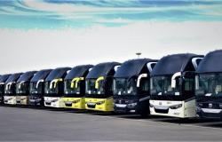 النقابة العامة للسيارات تجنِّد 1500 حافلة لنقل ضيوف الرحمن وفقًا للإجراءات الاحترازية