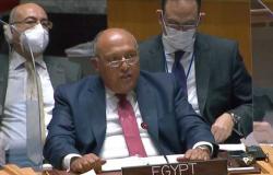 صلاح حليمة : خطاب وزير الخارجية أمام مجلس الأمن حمل رسالة واضحة لإثيوبيا