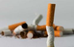 بعد زيادة أسعارها .. «مرصد التدخين» ينتقد «الوجه القبيح» لصناعة التبغ: تقتل 8 ملايين نسمة سنويًا