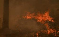 حريق هائل بمنطقة البارودية البحرية في الفيوم
