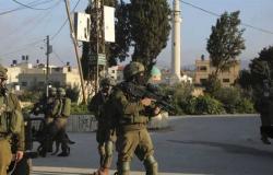 لبنان يتهم الجيش الإسرائيلي بسرقة قطيع ماعز