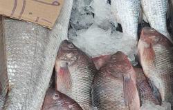 شعبة الأسماك : 850 مركب صيد في بورسعيد.. والسوق تطور لمستوى عالمي