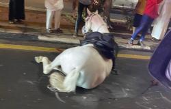إصابة حصان وتلف مقدمة مركبة بعد حادث سير في "هدا" الطائف