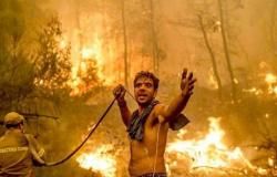 السطات الجزائرية تعتقل 30 شخصا فيما يتعلق بحرائق الغابات