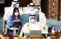 الإمارات تجدد رفضها التدخلات الأجنبية في شؤون الدول العربية
