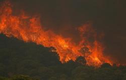 إجلاء 900 شخص جنوبي إسبانيا بسبب حرائق الغابات