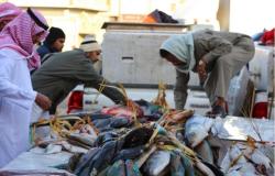 تجارة السمك بين العزوف وكثرة الاستيراد