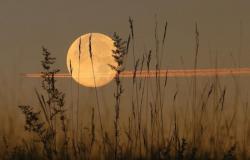 فلكية جدة: "قمر الحصاد" يظهر الليلة.. البدر الأخير في فصل الصيف