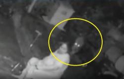 فيديو مرعب.. شاهد ما فعلته امرأة عجوز في مواجهة فهد شرس