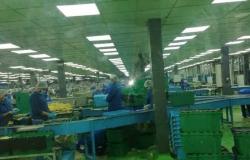 «القوى العاملة» تتابع الإجراءات الاحترازية بالمنطقة الصناعية ببدر