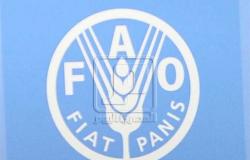 «زى النهارده» تأسيس منظمة الأغذية والزراعة (فاو) ١٦ أكتوبر ١٩٤٥