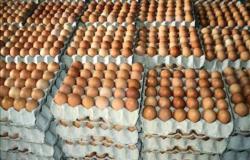 «الثروة الداجنة»: ٥ جنيهات تراجعًا بسعر بيض المائدة بعد تدخل الحكومة