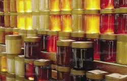 انطلاق «مهرجان العسل المصري الثالث» بحديقة الأورمان الشهر المقبل