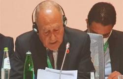 أمين عام الجامعة العربية : مؤتمر باريس فرصة لإعادة تقييم الوضع في ليبيا