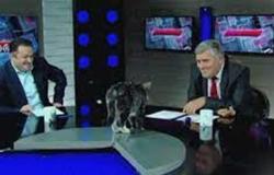 أثناء نقاش الحالة السياسة.. قطة تقتحم الاستوديو على الهواء (فيديو)