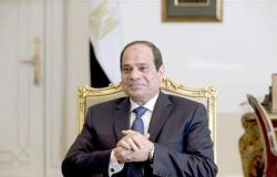 برلمانية: السيسي حقق طفرة في العودة بمصر للقارة الإفريقية من جديد