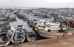 سوء الأحوال الجوية يتسبب بإغلاق ميناء البرلس في كفر الشيخ