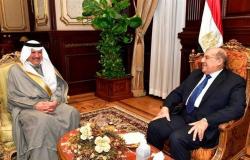 رئيس «الشيوخ» يستقبل السفير السعودي بالقاهرة