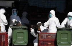 إسرائيل تعلن اكتشاف بؤرة جديدة لإنفلونزا الطيور