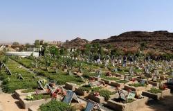 رسوم الشهيد حيلة حوثية لسرقة اليمنيين
