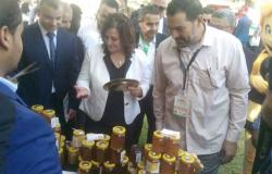 رئيس اتحاد النحالين: مهرجان عسل النحل المصري بالإسكندرية فبراير المقبل