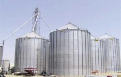مصدر حكومي: «خطة لزيادة المساحة المزروعة من القمح إلى مليون فدان»