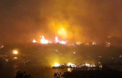 محافظ أسوان يحيل واقعة حريق محمية سالوجا وغزال وسط النيل إلى النيابة