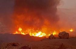 حريق هائل في محمية نيلية بأسوان