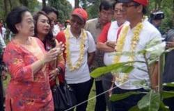رئيس إندونيسيا السابقة تدعو لمواجهة التغيرات المناخية والزلازل بزراعة الأشجار